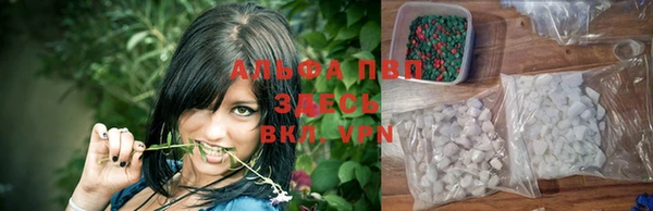 mdpv Богородицк