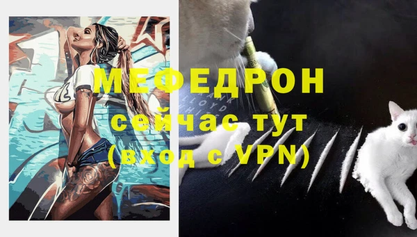 mdpv Богородицк