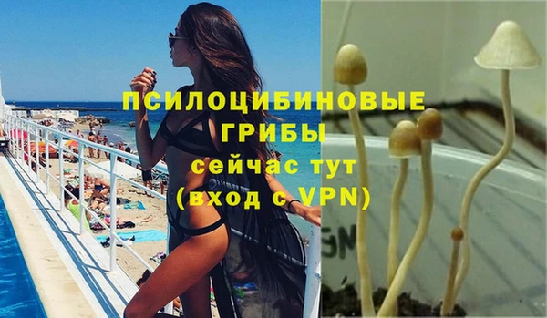 mdpv Богородицк
