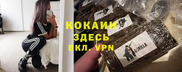 mdpv Богородицк