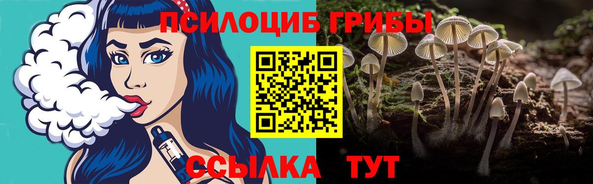 Бугульма  Галлюциногенные грибы Magic Shrooms  Вход с VPN 